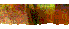Fav. Sites