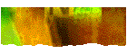 Fav. Sites